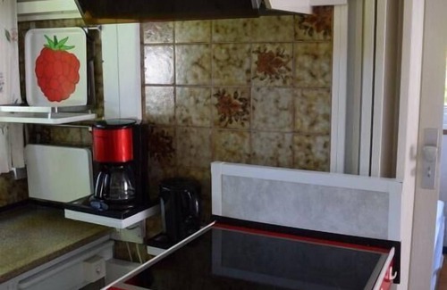 Baarland House | Small house with garden, directly behind the dyke