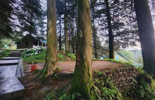 Banikhet House | SmartValley View Dalhousie-Nature`s Heaven