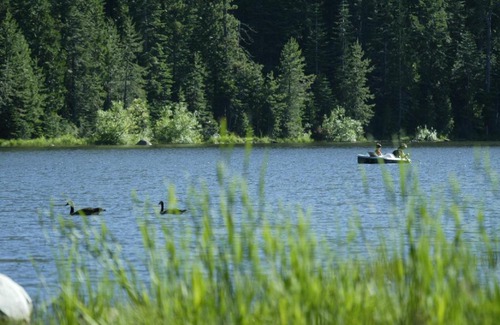 Emigrant Gap Resort | Snowflower Camping Resort 16 ft. Yurt 10