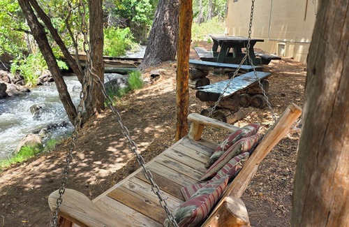 Cedaredge Cabin | Snuggle In with Your Pet in True Colorado Style Room with Queen bed/Kitchenette