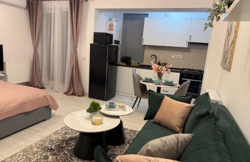 Otopeni Apartment | Sofia Residence - Otopeni Airport & Therme I Libertatii Gardens - free pool facilities