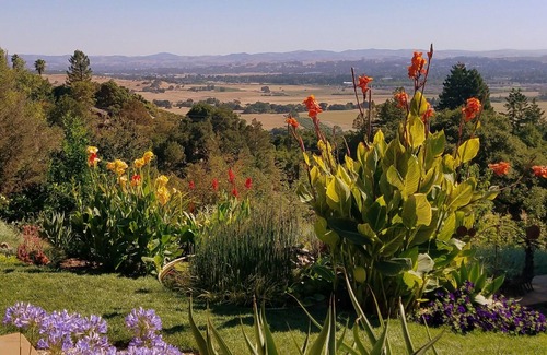Santa Rosa House | SONOMA COUNTY HILLTOP OASIS