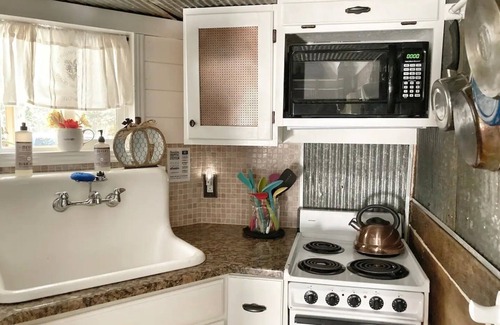 Springville Cabin | Southern Blooms! Porch Swinging, Pet-Friendly🐶, Tiny Home near Kentucky Lake!