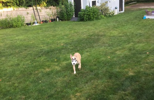 Sagamore Beach House | Spacious 3BR, 2Bath, Immaculate, Walk to Ocean Beach