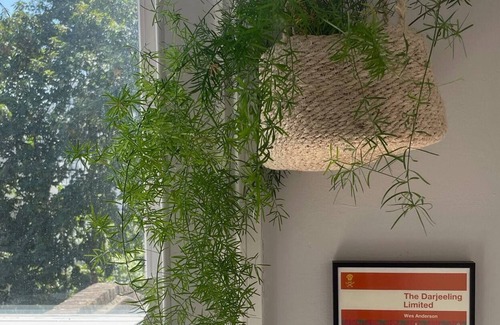 Hackney Downs Apartment | Spacious Apartment in Stoke Newington