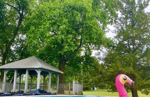 Allen Other | Spacious, farmhouse, with pool, 10 min from Salisbury and 35 min from beaches