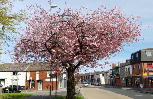 Rochdale Apartment | Spacious Flat Near Rochdale Centre Self Check-in Free Parking & Fast Wi-Fi