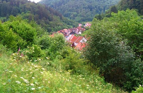Zorge House | Spacious group house in the Harz region with a fenced garden