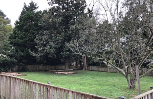Cambridge House | Spacious, pet-friendly 3-bedroom home