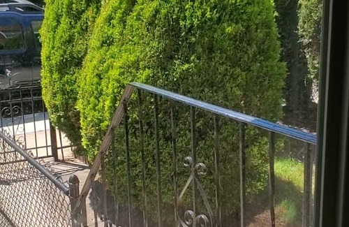 East Flatbush House | Spacious Townhome Apartment.
