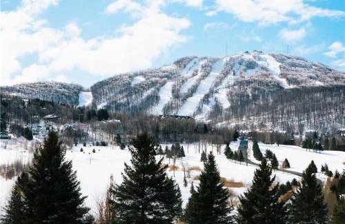 Bromont Apartment | Splendid Mountain View Condo with Fireplace and Free Ski Mountain Shuttle!