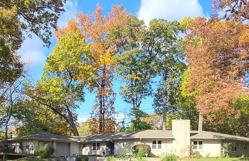 Wooded Estates House | Sprawling mid-century, unique, SPACIOUS & dog friendly home!