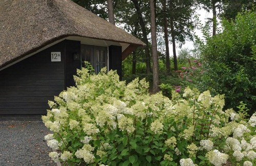 Krachtighuizen Villa | Sprielderbosch 12A luxury holiday home on a holiday park in the Veluwe