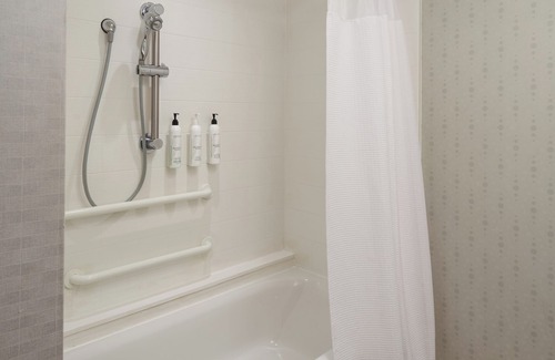 Ridley Park Hotel | SpringHill Suites Philadelphia Airport Ridley Park