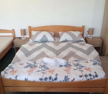 Platicevo Apartment | Stan na dan Platičevo