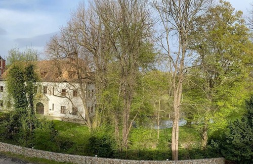 Bad Muskau House | Standard double room, shower or bath, WC, - Kulturhotel Fürst Pückler Park