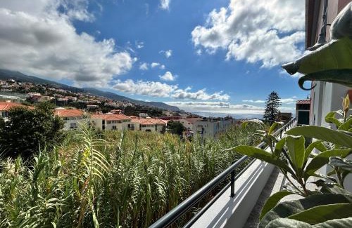 Santo Antonio Ski Chalet | Starry View