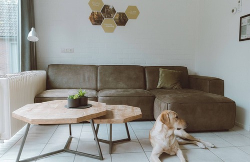 Nieuw Heeten House | Stay in the IJssel Plus bungalow for 4 persons at Vakantiepark de Sallandshoeve and enjoy comfort and nature in Overijssel.