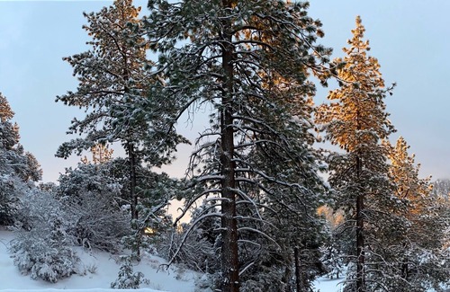 Wrightwood House | Stellar Jay Suite