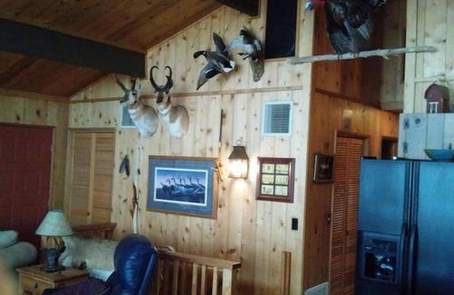 Lonergan House | STEPS FROM THE SAND! NOT SEPERATED BY ROADS OR RAILS! 4 Bedroom 2 Bath