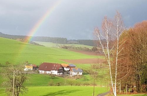 Elzach Apartment | Stockerhof