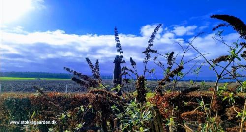 Stokkemarke Apartment | Stokkegaardens Hotel Apartments