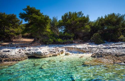 Vela Luka House | Stone House Villa Darinka
