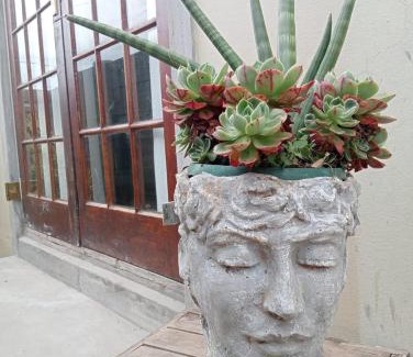 Oudtshoorn House | Studio 101
