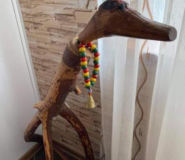 Sapareva Banya Apartment | Studio Anastasia