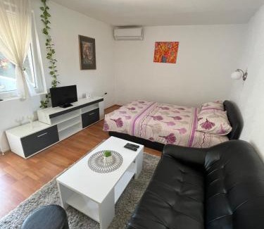 Banja Koviljaca Apartment | Studio Biki