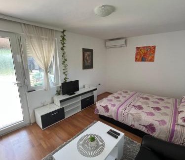 Banja Koviljaca Apartment | Studio Biki