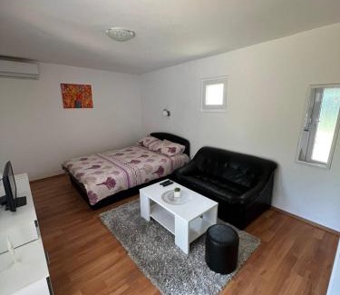 Banja Koviljaca Apartment | Studio Biki
