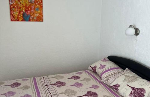 Banja Koviljaca Apartment | Studio Biki