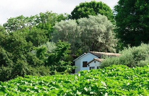 Borgo della Consolazione Apartment | Studio BUBO - Pool - Views - Art