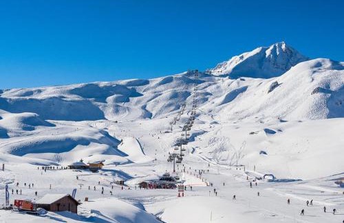 Arc-2000 Apartment | Studio confortable 4 pers, Arc 2000, ski aux pieds, animaux admis - FR-1-411-423