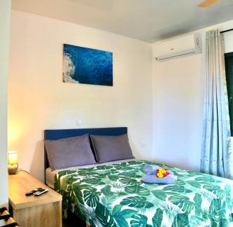 Taiarapu-Ouest Apartment | Studio Evasion - climatisé - vue mer et montagnes - canoes et paddle offerts ! Teahupo'o Lodge Tahiti