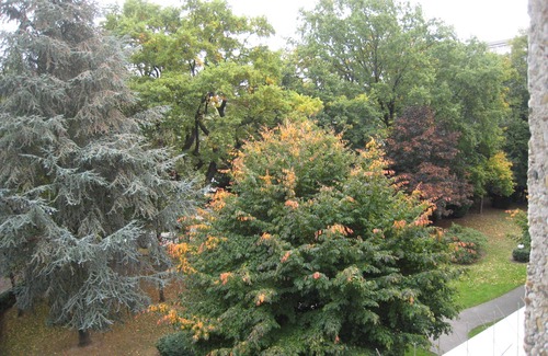 Tour-de-Champel Apartment | Studio flat in a peaceful area with free car park and public transportation