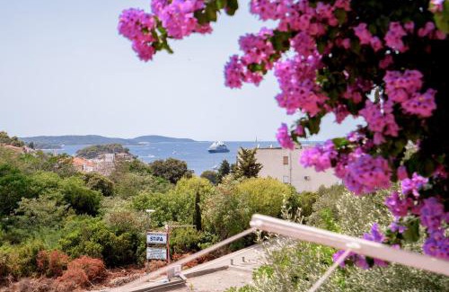 Krizna luka Apartment | Studio Kai - ZF Hvar