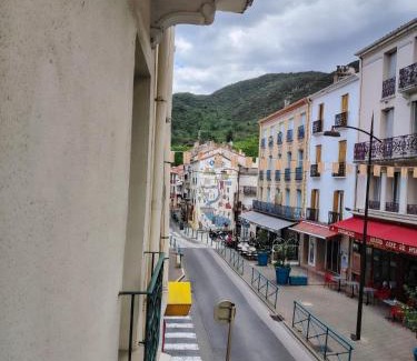 Amelie-les-Bains-Palalda Apartment | Studio N2 Appartement Hôtel Combes