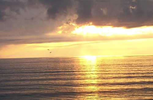 Bostroms Apartment | Studio Suite at Oceanfront Resort w/ Pool, Beach & Free WiFi!