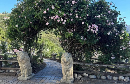 Carmel Valley House | Stunning Carmel Valley Property - Newly Updated