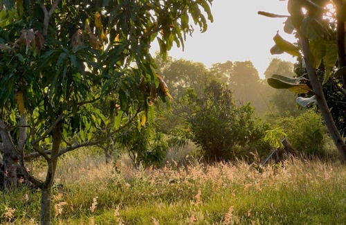 Ho Tram House | Stunning Eco-Friendly Retreat in Nature (Pet-Friendly!)