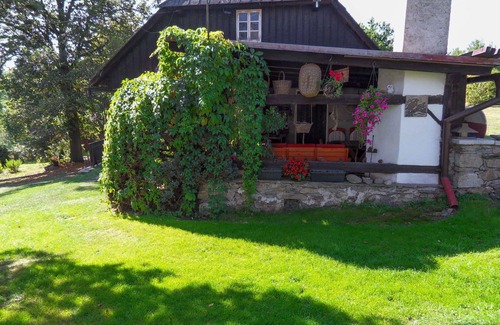 Bela nad Radbuzou Villa | Stunning private villa for 6 people with TV, patio and pets allowed