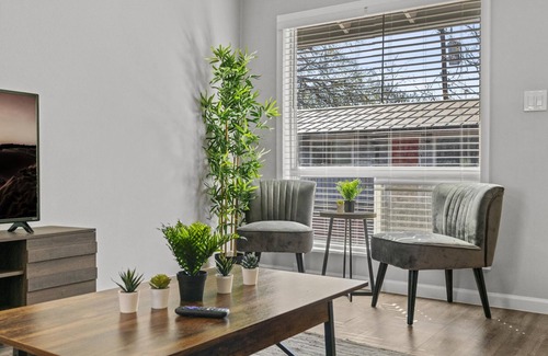 Zilker Apartment | Stylish 1BR Zilker Evonify