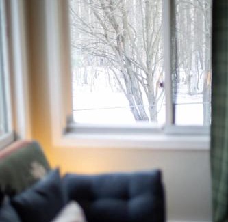 North Star Apartment | Stylish1 bed 1 bath apartment