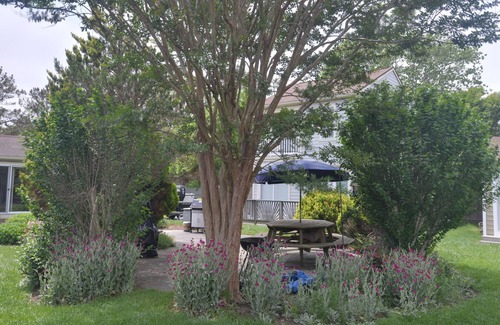 Dewey Beach Cottage | Summer 2025 check our low rates.