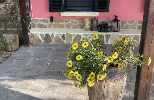 Kalivia Poliyirou House | Summer house surrounded by olive trees Halkidiki