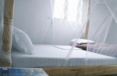 Kitojo House | Summit Guesthouse