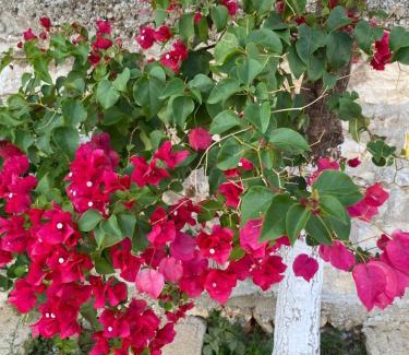 Kodrra Apartment | Sunny Apartament Saranda