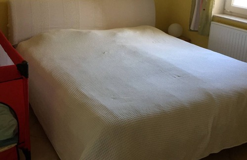 Karlshagen Apartment | Sunny vacation apartment Charlotte in Karlshagen on Usedom